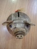 Wholesale Fashion Coconut Piggy Bank
