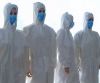 Wholesale Coverall