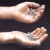 Wholesale PD-VG219 medical disposable Vinyl Gloves
