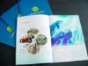 art work company brochure