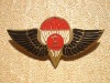 Lapel pin