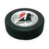 recordable sound talking tyre button
