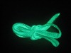 Wholesale glow shoelace