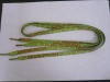 TW-S16 shoelace