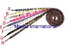 Wholesale shoelace
