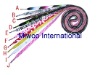 Wholesale shoelace