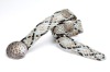 Wholesale Fashion Women's Braid Belt kz90003