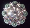 Wholesale New berry rhinestone conchos