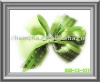 Wholesale elegant shape hair accessories HBB-12-059