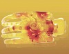 Wholesale hair claws