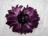 Wholesale hair combs