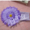 Wholesale Sweet Flower Headand