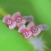 Wholesale 2010 fashion kids hair clip