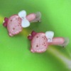 Wholesale 2010 fashion kids hair clip