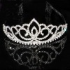 Wholesale fashion rhinestone crown(DAH40055)