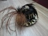 Wholesale feather hair clips