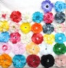 Wholesale 2 inch Small new Daisy Flower,fahsion daisy flower,colorful flower