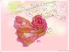 Wholesale fashion scarf/ladyies' shawl/long silk scarves/fashion accessory