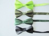 Wholesale polyester bowtie