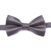 Wholesale Fashion silk bowtie