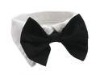 Wholesale bowtie