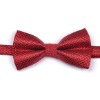 Wholesale Fashion neck bowtie
