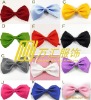 Wholesale pure color cravat/bow ties
