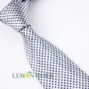 Wholesale Student Polyester Tie
