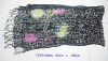 Wholesale fashion scarf