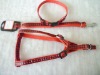 Wholesale Pet Collars & leashes