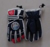 Wholesale adult's winter sport/ski glove
