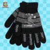 Wholesale winter gloves,women's winter gloves,ladies gloves NLKG(222)