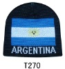 Wholesale Fans hat / Fans cap / sports hat