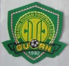 Wholesale sport badge