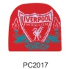Wholesale fans Hat with embroidery