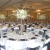 Wholesale polyester chair cover