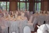 Wholesale poly chair cover
