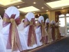 Wholesale chair cover