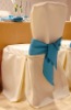 Wholesale poly chair cover