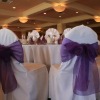Wholesale poly chair cover