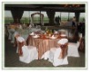 Wholesale poly chair cover