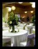 Wholesale poly chair cover