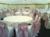 Wholesale poly chair cover