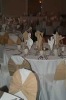Wholesale poly chair cover