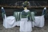 Wholesale poly chair cover