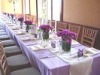 Wholesale poly chair cover