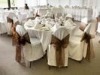 Wholesale poly chair cover