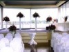 Wholesale poly chair cover