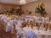 Wholesale poly chair cover