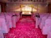 Wholesale poly chair cover